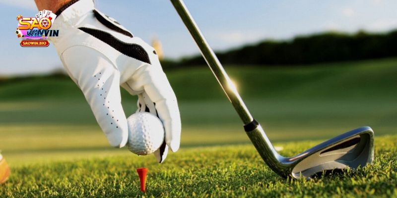 Cá cược golf - Cuốn hút nhờ các giải đấu đỉnh cao